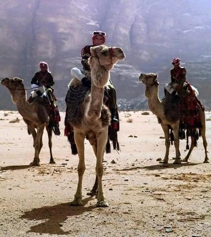Enad Desert Camp Вади Рум Екстериор снимка