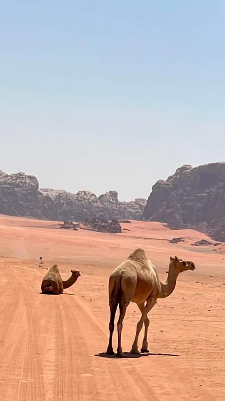Enad Desert Camp Вади Рум Екстериор снимка